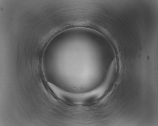 X0000052590201200507011320