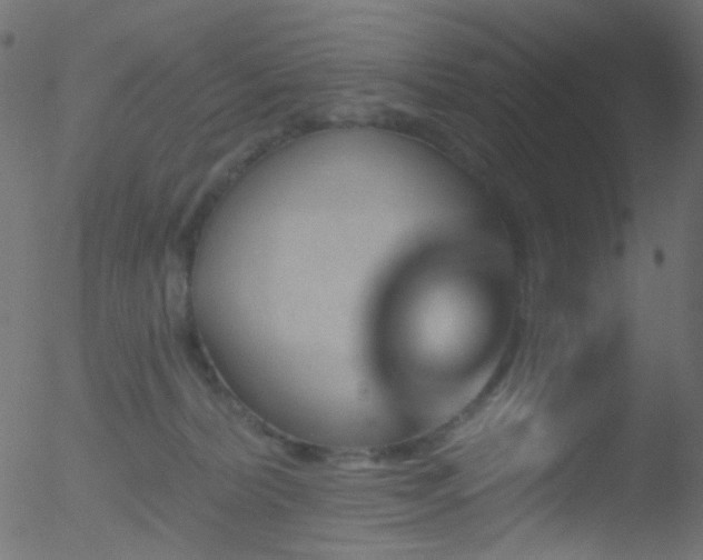 X0000052590228200507011319
