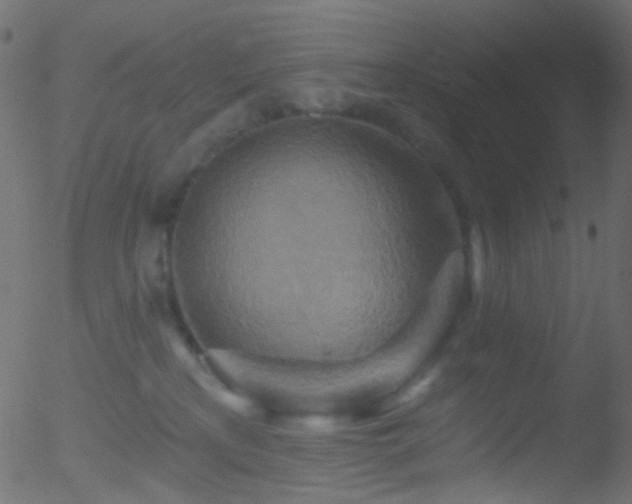 X0000052590233200507011319