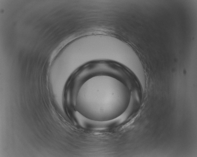X0000052590244200507011318
