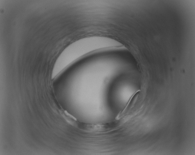 X0000052590288200507011319