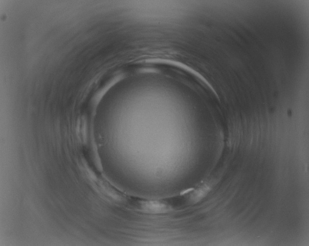 X0000052590380200507011317