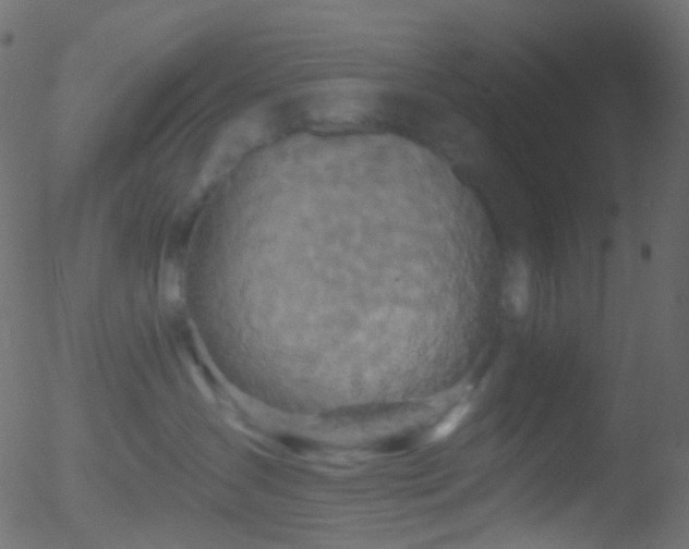 X0000052590431200507011316