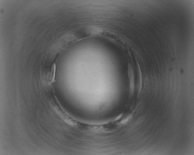 X0000052590525200507011314