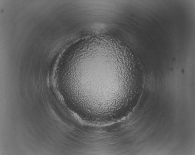 X0000052590594200507011313