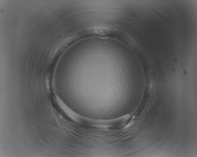 X0000052590595200507011313