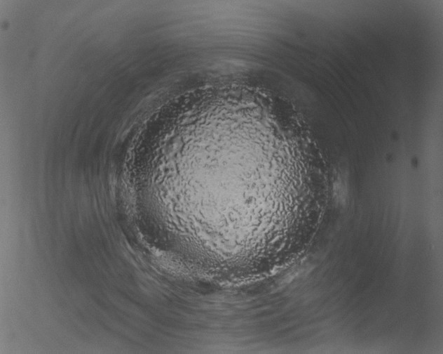X0000052590819200507011309