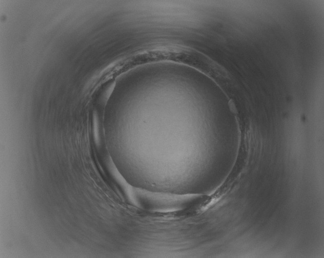 X0000052590822200507011309
