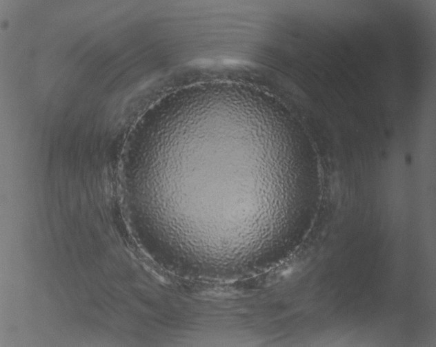 X0000052590966200507011307