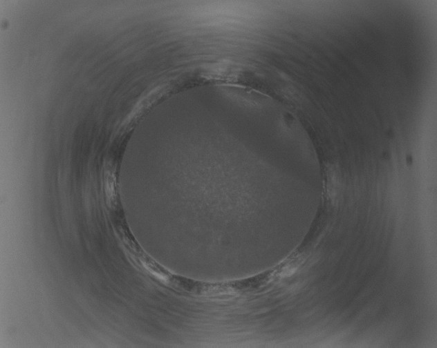 X0000052591154200507011304