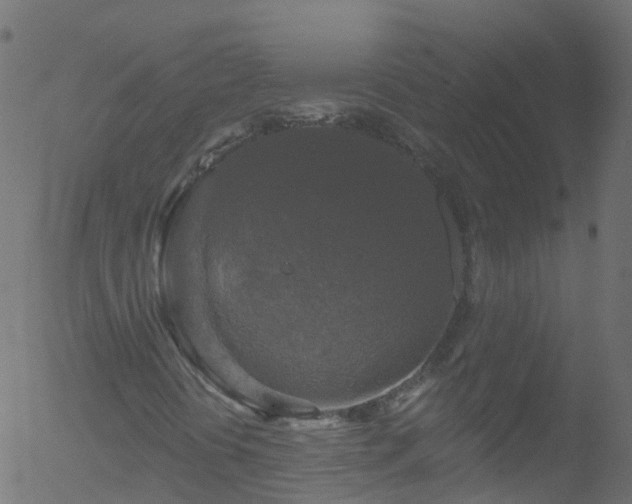 X0000052591394200507011259