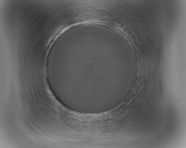 X0000052590002200507081806