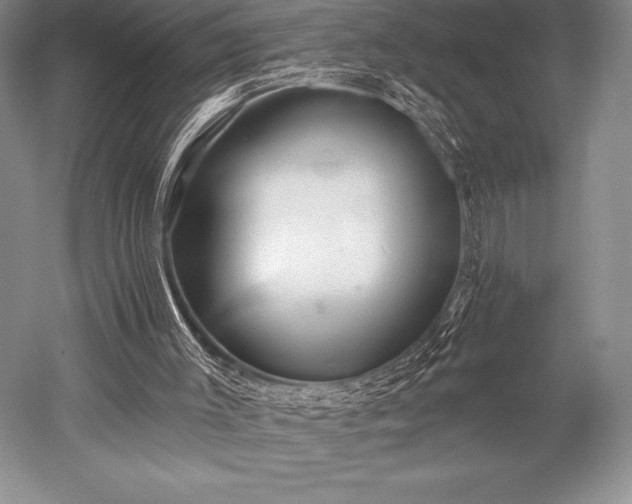 X0000052590003200507081806