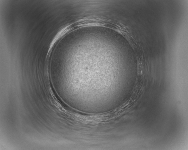 X0000052590004200507081806