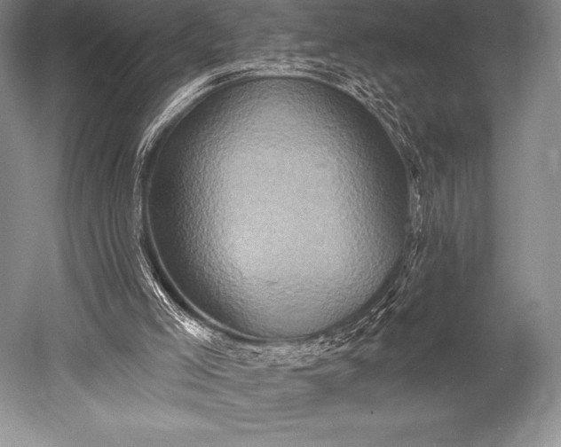 X0000052590005200507081806