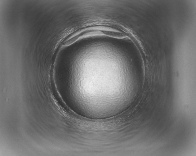 X0000052590010200507081806