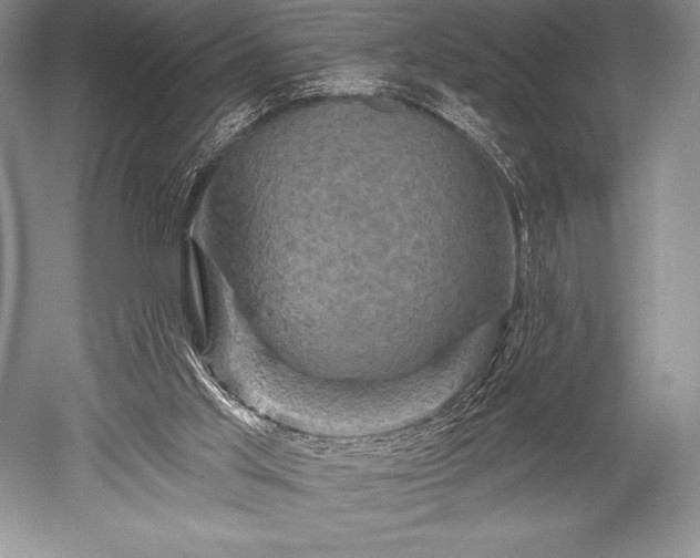 X0000052590013200507081806