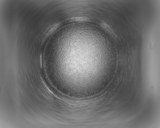X0000052590014200507081806