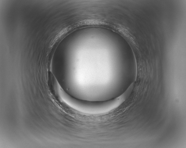 X0000052590015200507081806