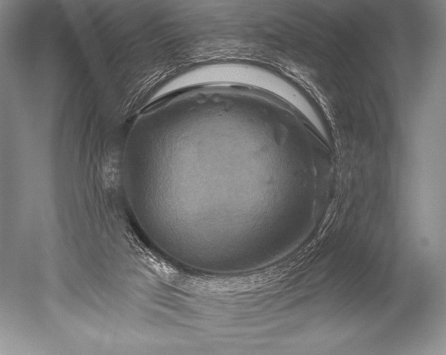 X0000052590017200507081806