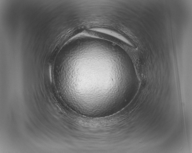 X0000052590022200507081806
