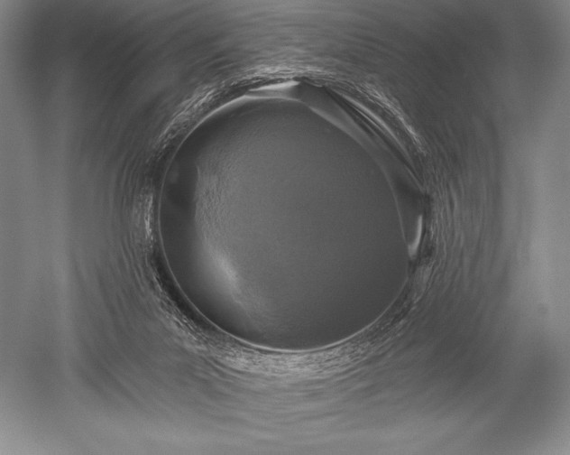 X0000052590023200507081806