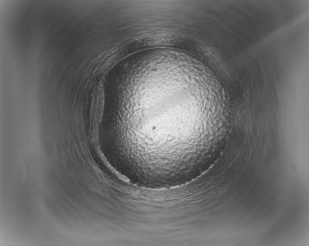 X0000052590026200507081806