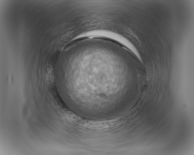 X0000052590029200507081806