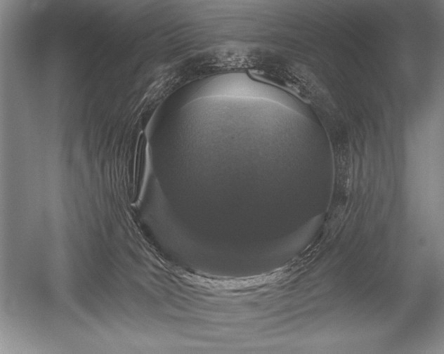 X0000052590035200507081806