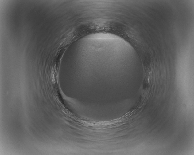 X0000052590039200507081805