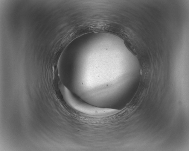 X0000052590040200507081805