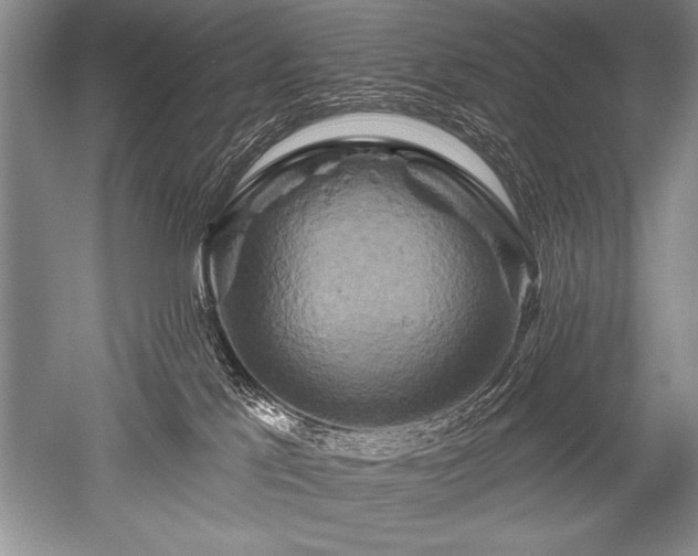 X0000052590041200507081805