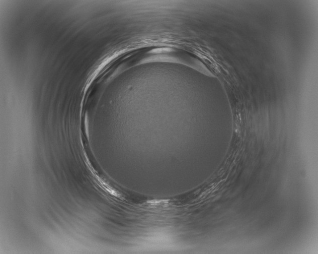 X0000052590052200507081805