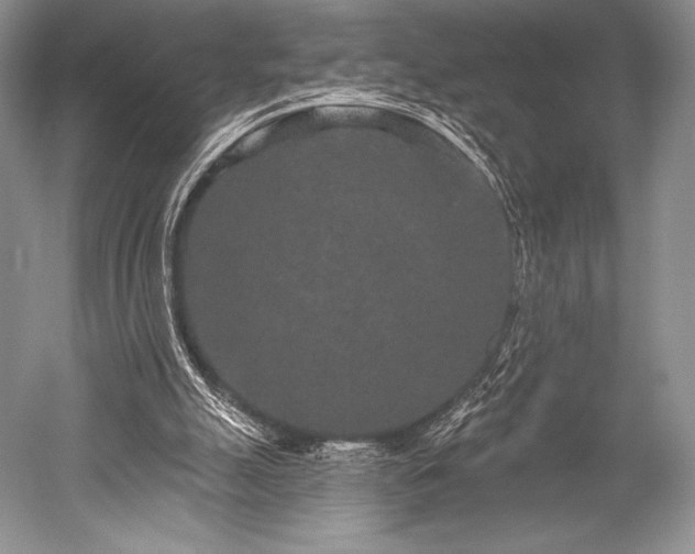 X0000052590055200507081805