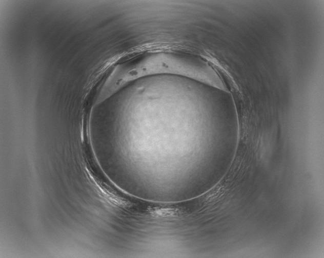 X0000052590062200507081805