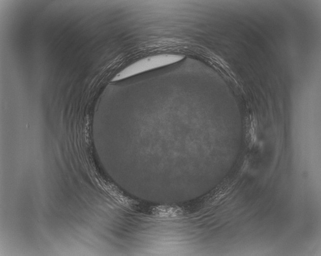 X0000052590073200507081805