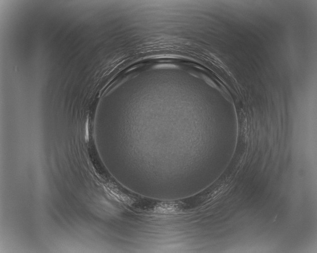 X0000052590076200507081805