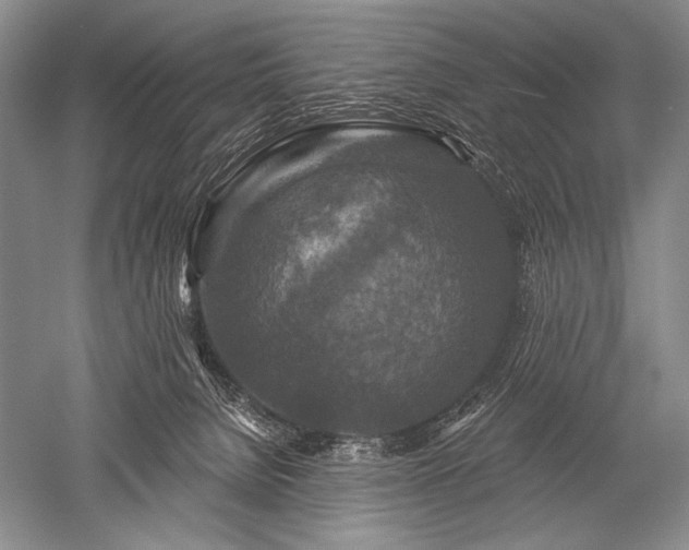 X0000052590080200507081805