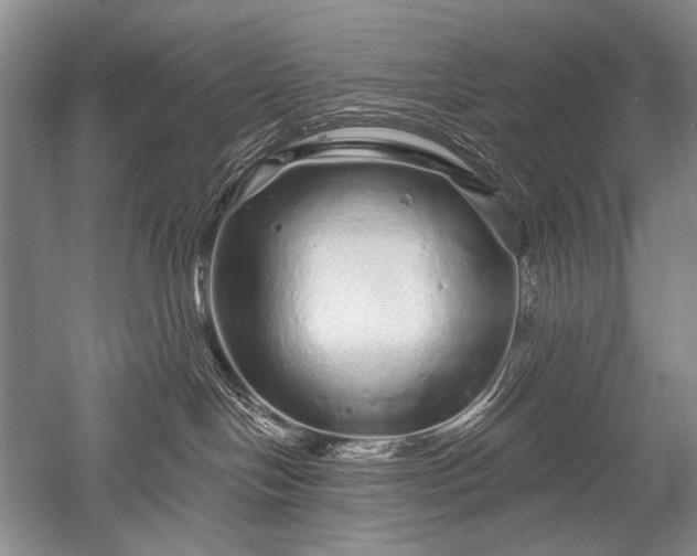 X0000052590094200507081805