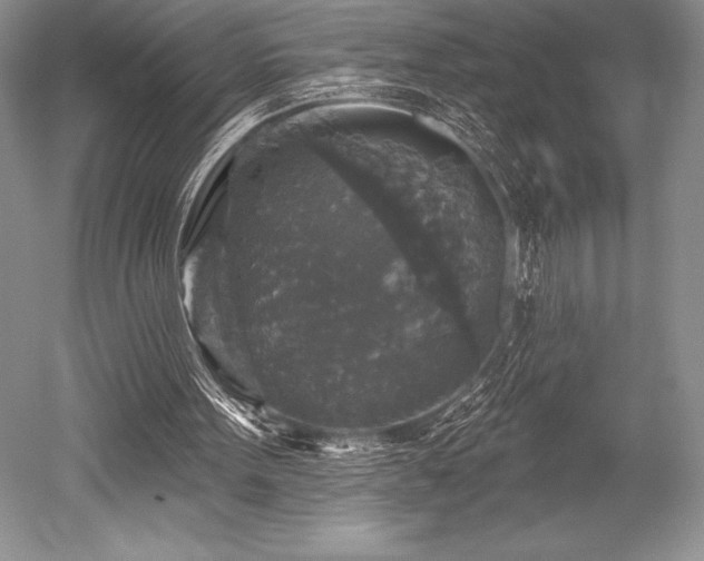 X0000052590099200507081804