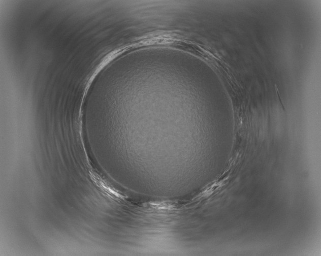 X0000052590100200507081804