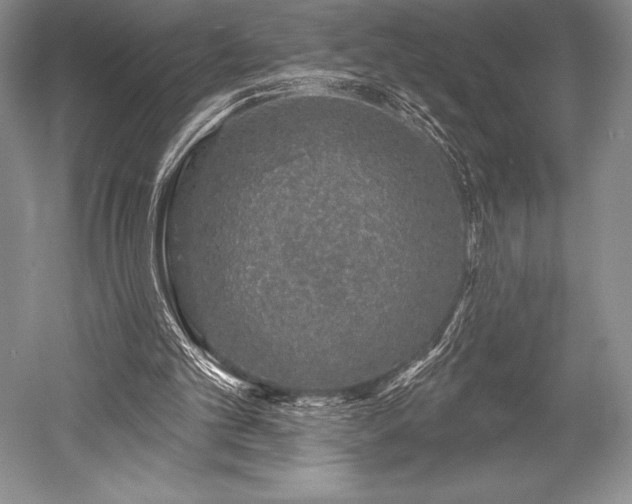 X0000052590101200507081804