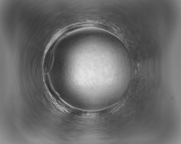 X0000052590102200507081804