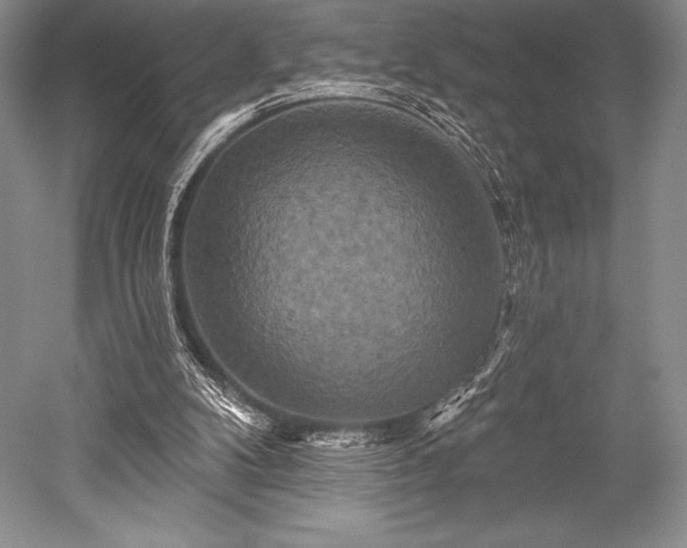 X0000052590104200507081804