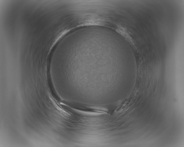 X0000052590108200507081804