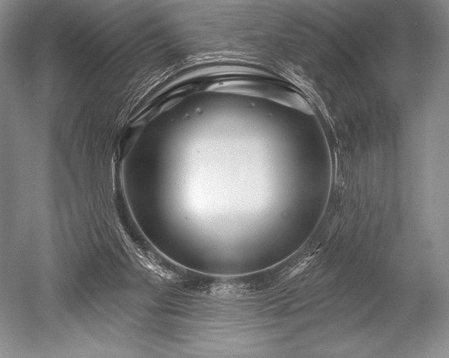 X0000052590109200507081804