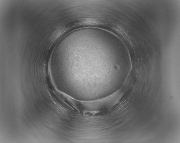 X0000052590111200507081804