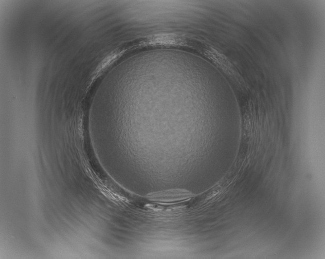 X0000052590112200507081804