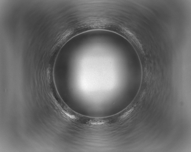X0000052590113200507081804