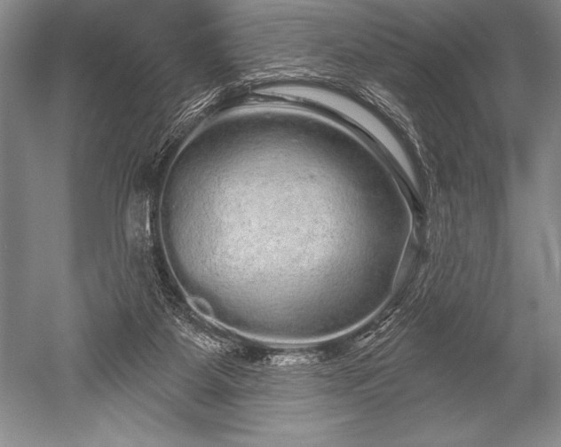 X0000052590115200507081804